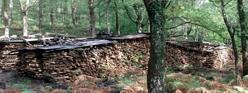 Sawmills